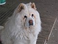 20110101_Div 181